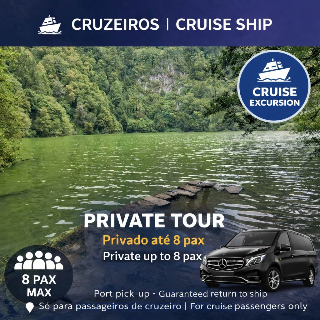 Privado Carrinha &ndash; &ldquo;Tour Privado at&eacute; 8 passageiros&rdquo;